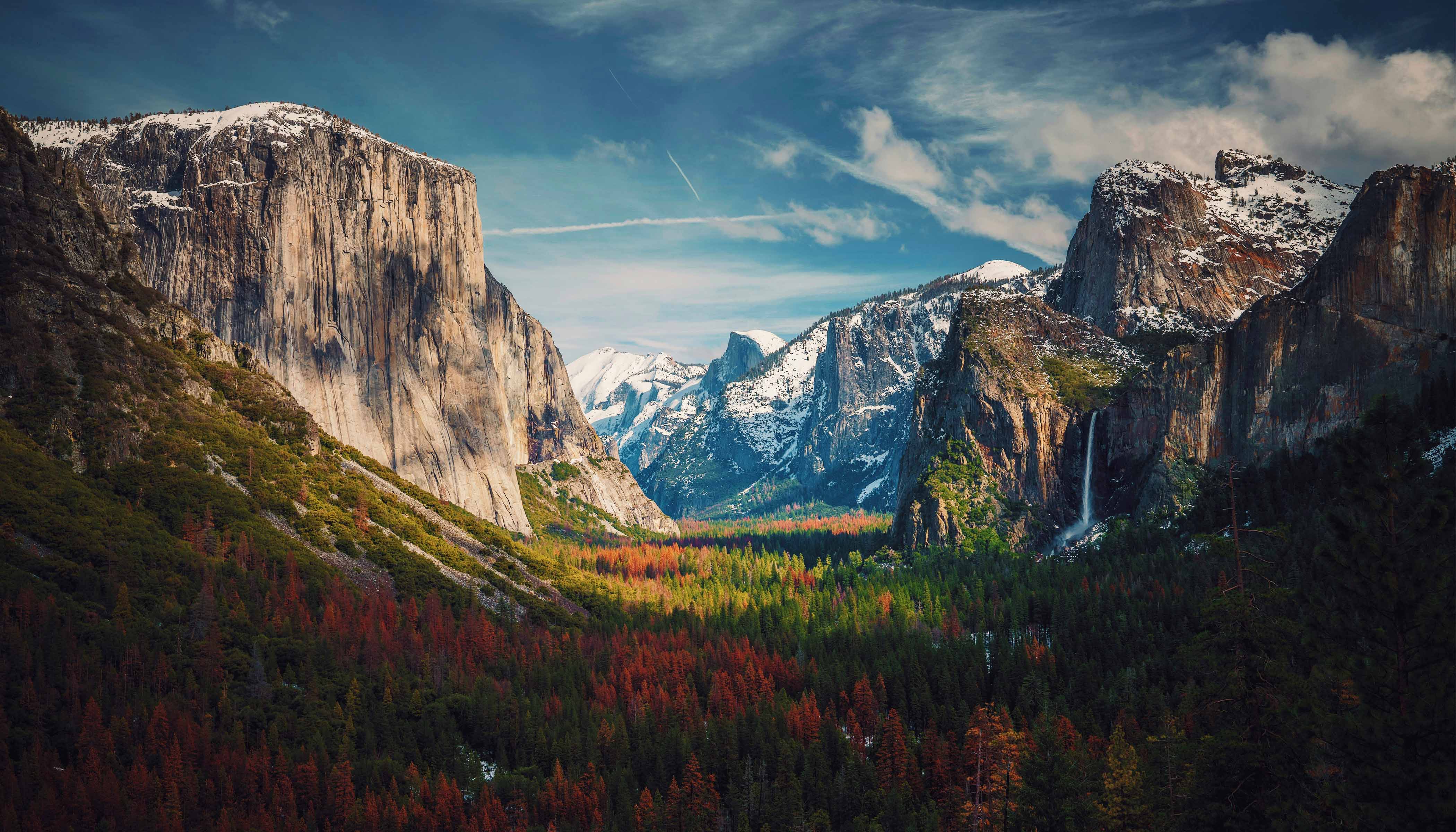 A Forest in a Valley Surround by Mountains in Yosemite