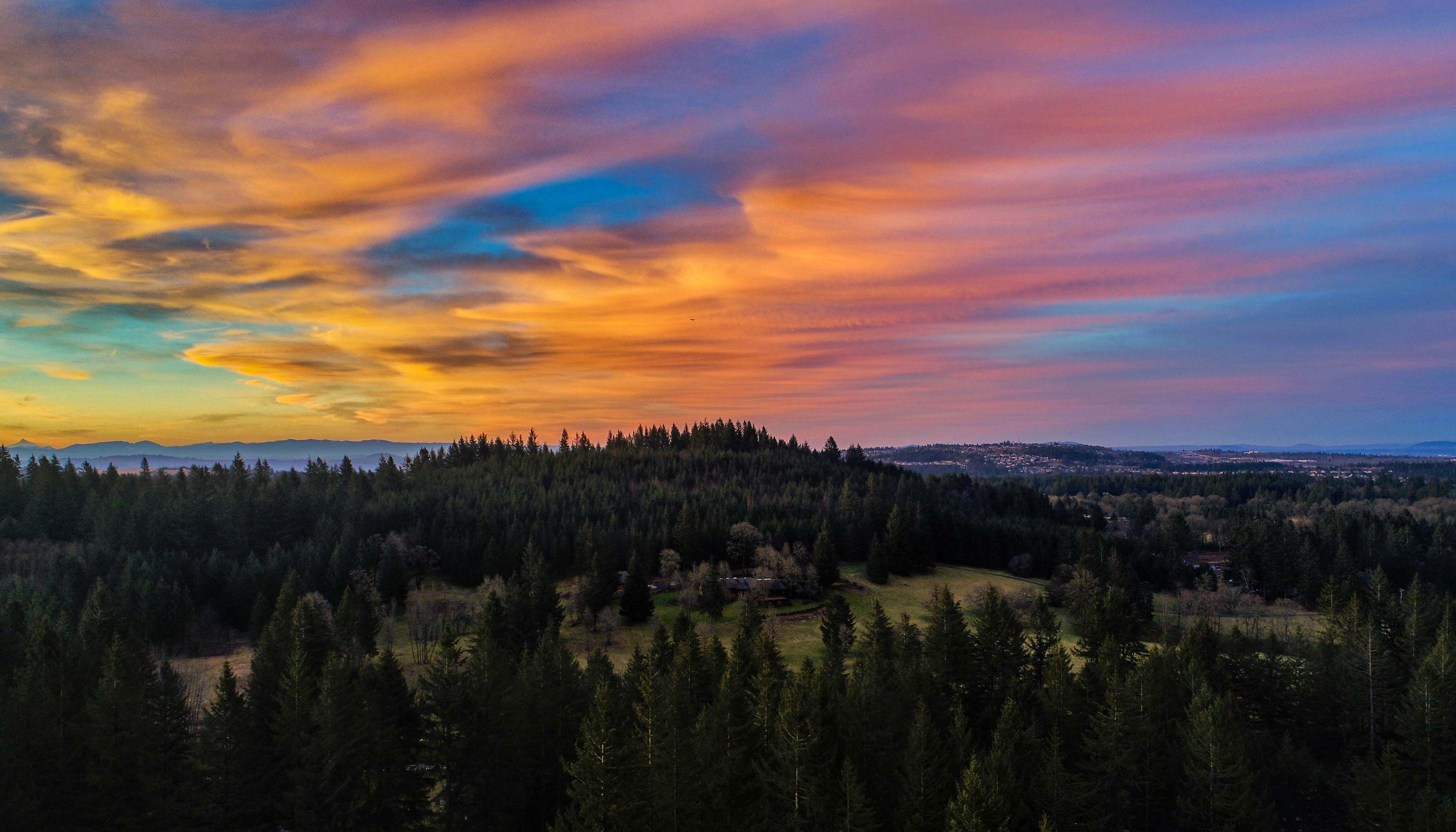 Hill Covered With Trees In Sunset